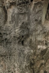 Stone Texture: A Close-Up of Rock Surface