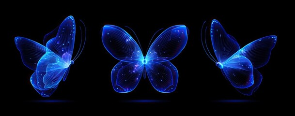 Three glowing, translucent blue butterflies on a black background