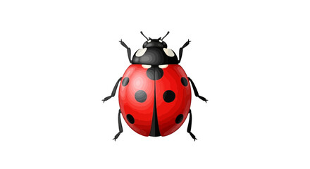Naklejka premium Adorable detailed ladybug illustration on clean white backdrop surface