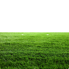 Obraz premium Lush green grass with dense, evenly cut blades creating a vibrant and healthy lawn surface