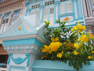 the colorful peranakan house of koon seng road in singapore