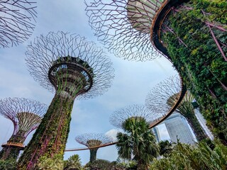 the famous Botanical Garden in Singpore