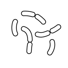 outline of lactobacillus bacterial microorganisms