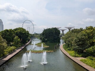 Grdens by the bay in singpore