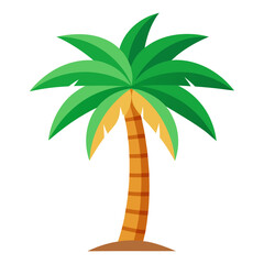 palm tree vector illustration