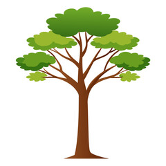 green tree isolated on white background