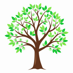 Obraz premium vector tree with green leaves