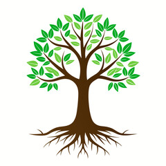 Fototapeta premium vector tree isolated on white background