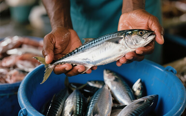 Fresh Skipjack Tuna from the Ocean