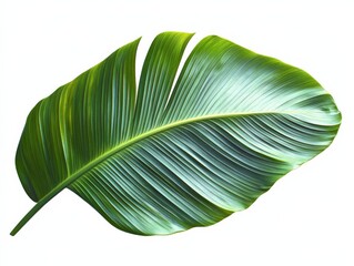 Fototapeta premium Tropical Green Leaf Isolated on White Background, Perfect for Botanical and Nature-Themed Designs