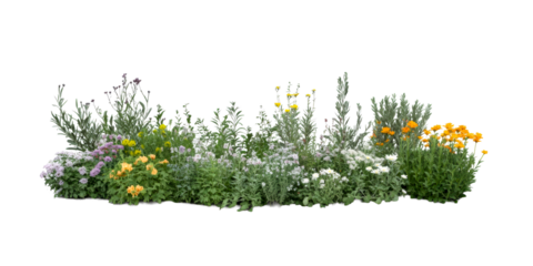 Mixed Garden Bed with Yellow, Orange and White Flowers, cut out transparent