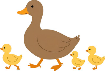 오리 가족 일러스트 : Duck Family Illustration