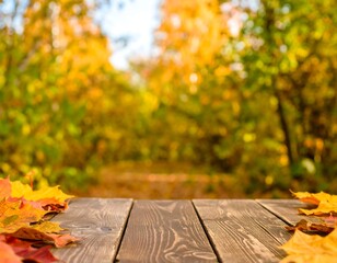 Autumnal wooden table in a forest (2)