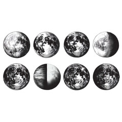 Obraz premium Phases of the moon displayed in a striking monochrome style.