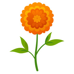 tagetes minuta flower line art vector on-white
