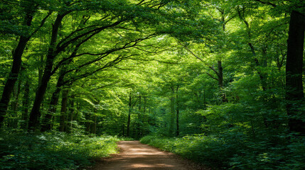 Obraz premium explore breathtaking summer landscapes across countries featuring forest trails adorned with ultrabright green