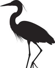 Silhouette of a standing heron, elegant bird vector illustration, wildlife nature art, perfect for birdwatching designs, graphic stock, Adobe SEO content