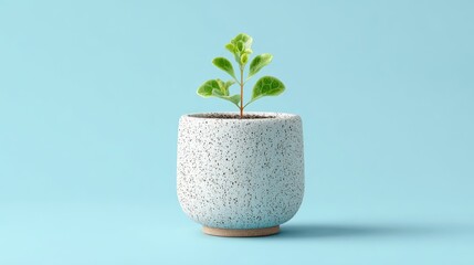 Small plant in speckled white pot on light blue background