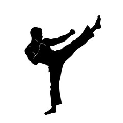 A black silhouette portrays a martial artist executing a dynamic high kick, showcasing strength and athleticism on a clean white background, perfect for design use.