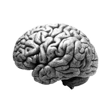 Halftone illustration of brain with transparent background 