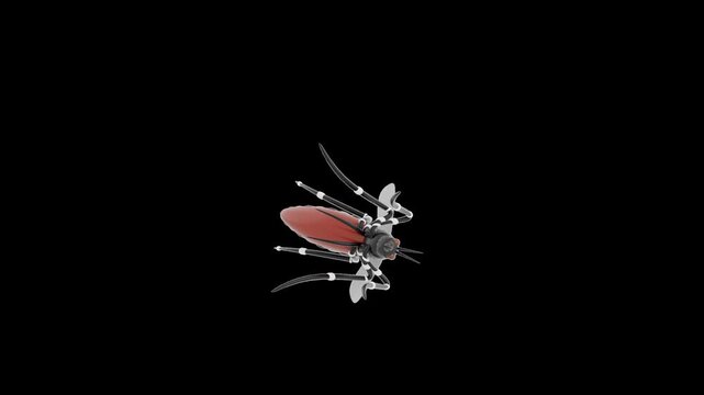 3D Animation of Mosquit | Alpha Channel