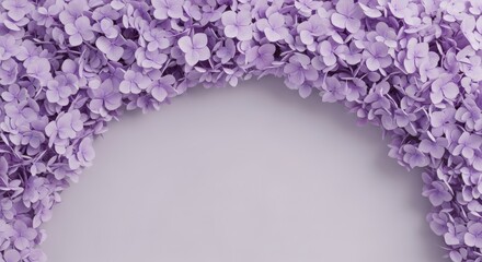 A closeup of a cluster of delicate purple hydrangea flowers forming an arch against a soft grey background