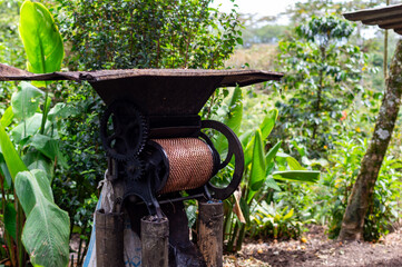 Manual coffee pulping machine on a natural background