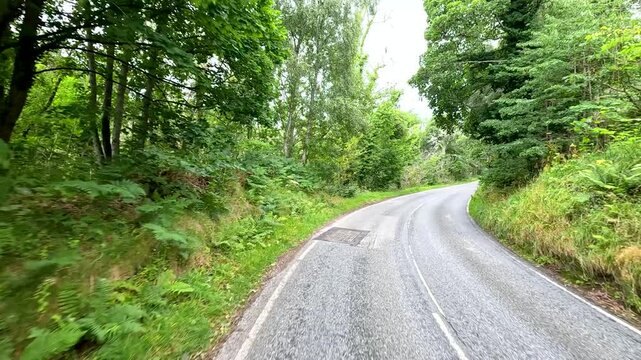Driving Along a Winding Forest Road in Cromarty, Scotland