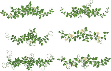 Decorative green leafy vine clipart set with small white flowers, swirling floral borders, nature-inspired garden foliage vector illustrations