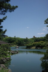 Lake and Greenery in Traditional Japanese Garden
