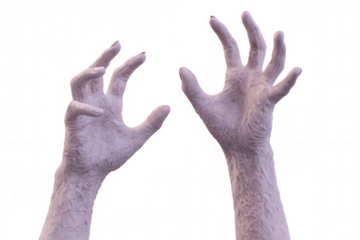 Pair of creepy, decaying zombie hands reaching forward against a transparent background, perfect for halloween or horror projects