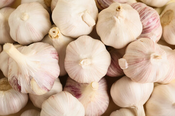 Texture of fresh garlics as background
