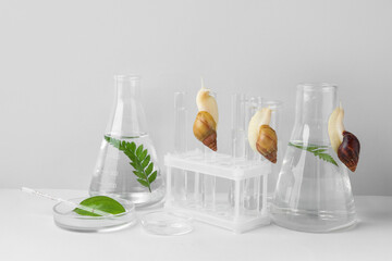 Laboratory glassware of samples with Achatina snails and plants on white table near grey wall