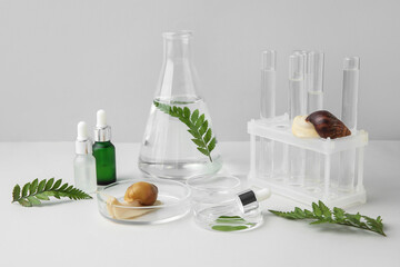 Laboratory glassware of samples with Achatina snails, cosmetic products and plants on white table near grey wall