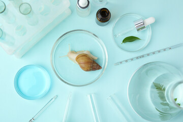 Petri dishes with Achatina snail, cosmetic products and plants on turquoise background