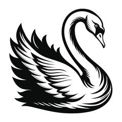 Elegant black swan silhouette with detailed feathers