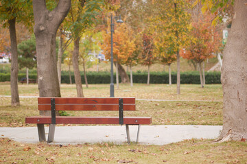 Bright autumn day in a park with a wooden bench