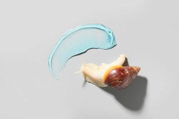 Giant Achatina snail and sample of blue cosmetic gel on white background, closeup © Pixel-Shot