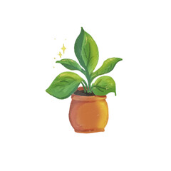 plant in a pot