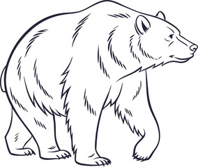 Black and white silhouette vector illustration of a wild bear