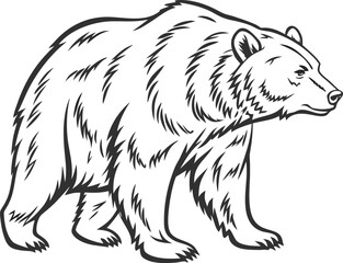 Obraz premium A cute hand-drawn brown bear illustration of a wild animal sitting on a branch