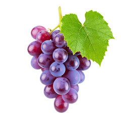 Fototapeta premium Single Purple Grape on Vine with Leaf, Side Angle isolated on transparent background png