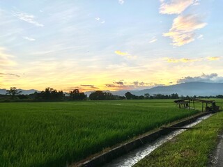 Obraz premium railway in the field