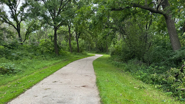 Trail Through The Trees