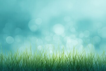 Obraz premium Soft-focus teal background with vibrant green grass