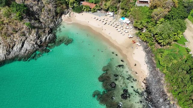Vis&atilde;o a&eacute;rea da Praia do Cachorro em Fernando de Noronha, com areia dourada, mar cristalino e fal&eacute;sias, destacando cen&aacute;rio tropical preservado do arquip&eacute;lago