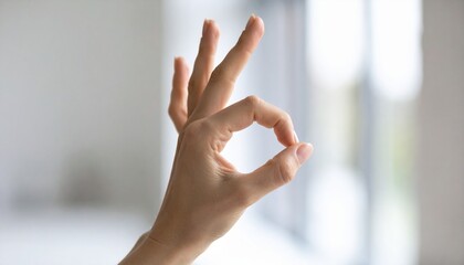 Hand Gesture Communicating Approval and Acceptance, Expressing an Optimistic Outlook with the 'Okay' Sign