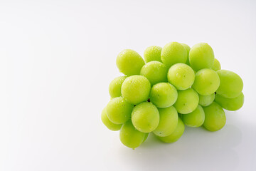 シャインマスカット　白バック