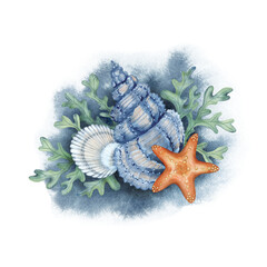 Marine composition with shells, starfish and algae on the background of a watercolor spot. Illustration for posters, stickers, and prints.