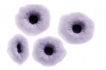 Four fluffy purple pores creating an abstract pattern on a transparent background, perfect for medical or scientific projects